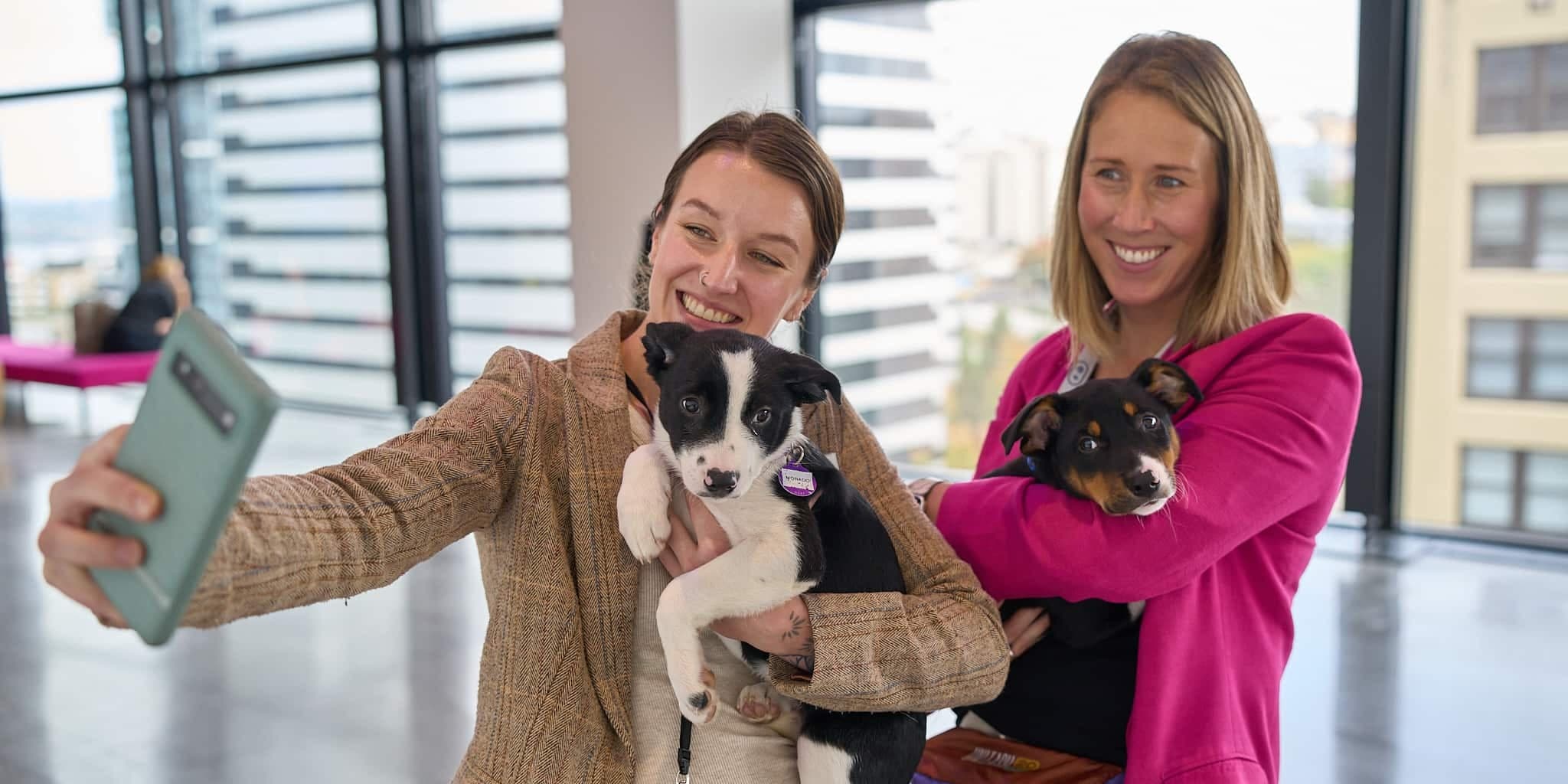 Two coworkers taking a selfie with two little puppies